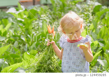 girl in the garden walks with an armful of carrots and holds a crop of peas in her hand. 124459285