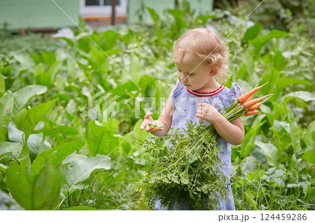 girl studying the world is standing in the garden with a carrot in her hands. A sunny summer day. Health and healthy natural food girl studying the world is standing in the garden with a carrot in her hands. A sunny summer day. Health and healthy natural food 124459286