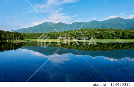 夏の知床五湖 ― 世界自然遺産・北海道の絶景 124459356