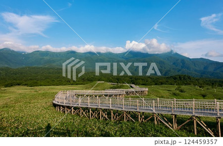夏の知床五湖高架木道 ― 北海道の大自然を歩く絶景ルート 124459357