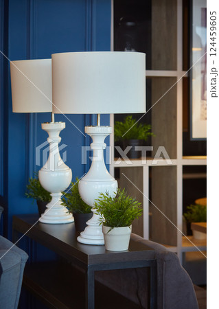 Interior decor. Two large white table lamps with large shades in a dark interior. Vertical. 124459605