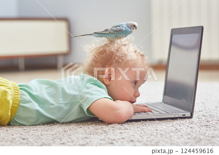 A child with a parrot on his head watches cartoons on a laptop or studies online. The concept of self-isolation in the coronavirus pandemic A child with a parrot on his head watches cartoons on a laptop or studies online. The concept of self-isolation in the coronavirus pandemic 124459616
