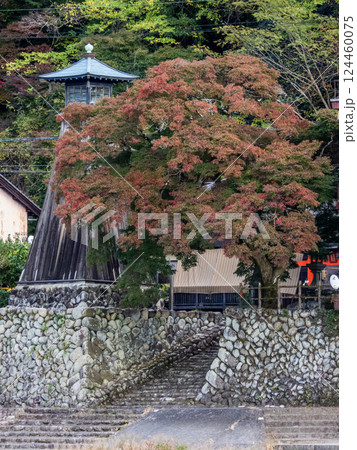 秋の川湊灯台の見える景色 124460075