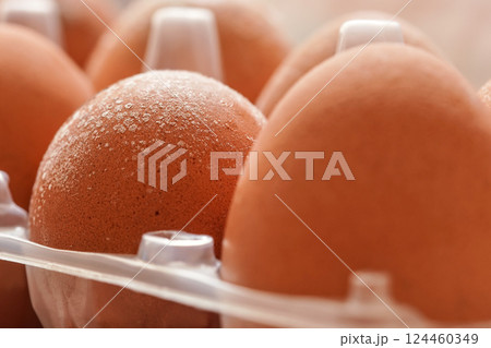 White mildew / mould growing on shell of eggs stored improperly in wet and cold fridge for long time 124460349