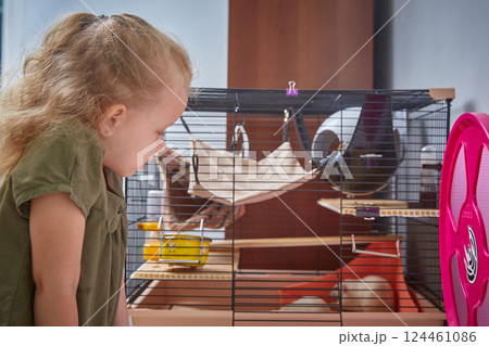 The girl looks at the cage with rats. Focus on the child. The girl looks at the cage with rats. Focus on the child. 124461086
