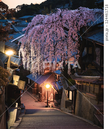 京都の桜のイメージ 産寧坂のしだれ桜 京都の桜のイメージ 産寧坂のしだれ桜 124461718