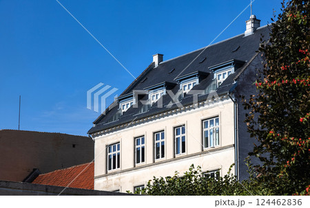 New black tile roof of a rich mansion New black tile roof of a rich mansion 124462836