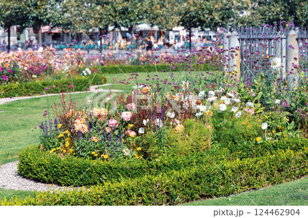 Flower bed in a city garden Flower bed in a city garden 124462904