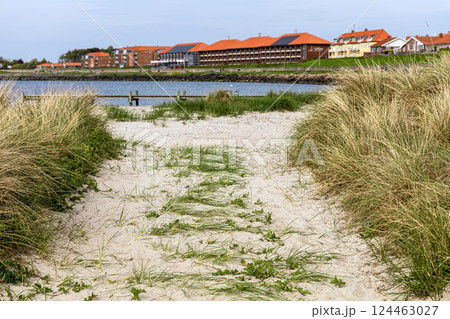 Natural beach with sand and grass in the town of Ronne on the Bornholm Island, Denmark Natural beach with sand and grass in the town of Ronne on the Bornholm Island, Denmark 124463027