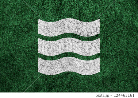 Official flag of Hiroshima. City in Japan. Conceptual collage on the fabric texture 124463161