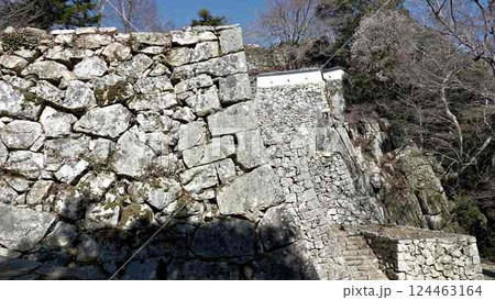 備中松山城の石垣群 備中松山城の石垣群 124463164