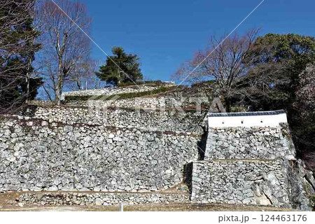 備中松山城の石垣群 124463176