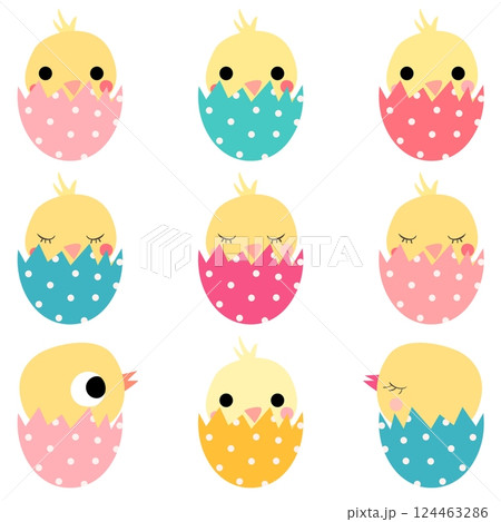Cute Easter hatching chickens in colored eggs 124463286
