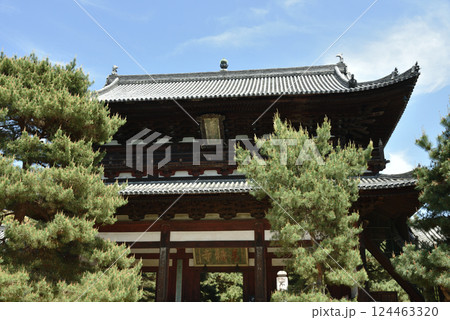 春の萬福寺　三門【重要文化財】 124463320
