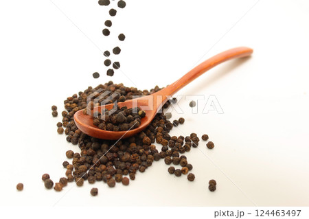 白背景の黒コショウ 白背景の黒コショウ 124463497