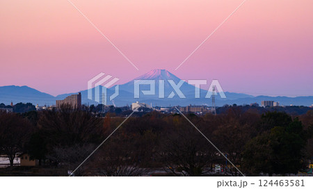 埼玉県・道満グリーンパークから見る朝焼けの富士山（紅富士） 124463581