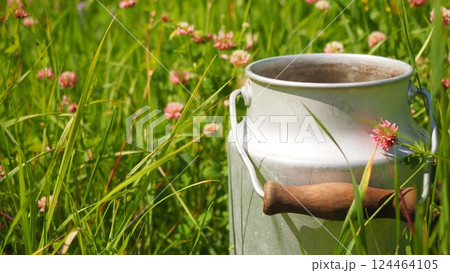 Close up Aluminum can in field blooming clover Close up Aluminum can in field blooming clover 124464105