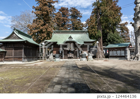 太田の八幡様として知られる若宮八幡宮拝殿【茨城県常陸太田市】 124464136