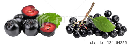 Chokeberry with leaf isolated on white background. Black aronia. Chokeberry with leaf isolated on white background. Black aronia. 124464226