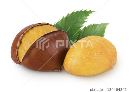 roasted peeled chestnut isolated on white background wit full depth of field. 124464243