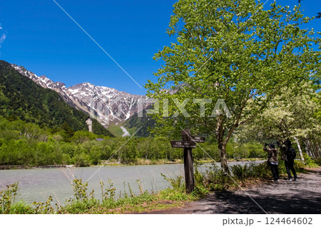 【さわやか上高地】「コナシ」咲く梓川沿い遊歩道と穂高連峰 の絶景 124464602