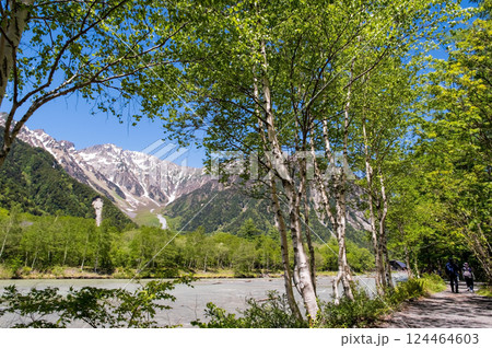 【さわやか上高地】梓川沿い遊歩道の新緑と穂高連峰 の絶景 124464603