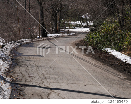 雪解けが進む山道のカーブ 124465479