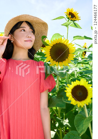 ひまわり畑と女性 124466177