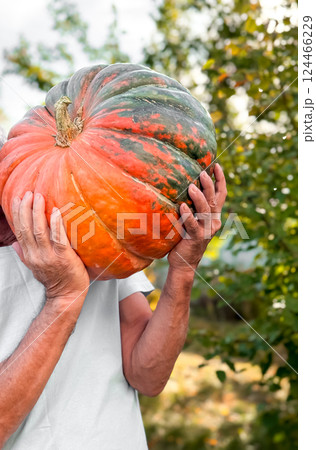 Mature caucasian male holding large harvest pumpkin in garden Mature caucasian male holding large harvest pumpkin in garden 124466229
