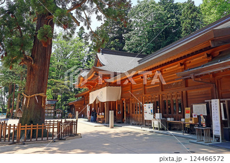 穂高神社（安曇野） 124466572