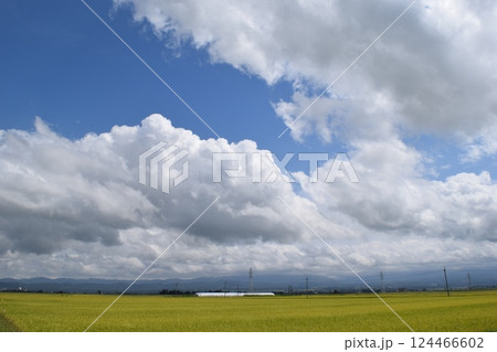 空と雲 背景素材 124466602