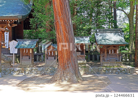 穂高神社（安曇野） 124466631