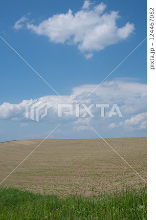 植え付けが終わったビート畑 124467082