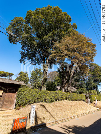 古き良き日本の街並みが残る、佐倉市の武家屋敷通りの景色 124467793