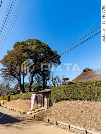 古き良き日本の街並みが残る、佐倉市の武家屋敷通りの景色 124467796