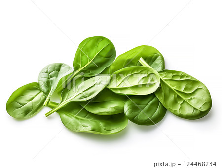 ほうれん草のイメージ素材 124468234