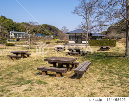 早春の公園風景　芝生に置かれた木製のテーブルとベンチ 124468495