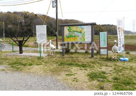 野田市こうのとりの里は、絶滅危惧種のこうのとりを保護飼育しています。 野田市こうのとりの里は、絶滅危惧種のこうのとりを保護飼育しています。 124468706