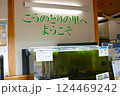 野田市こうのとりの里は、絶滅危惧種のこうのとりを保護飼育しています。 124469242