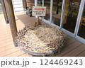 野田市こうのとりの里は、絶滅危惧種のこうのとりを保護飼育しています。 124469243