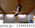野田市こうのとりの里は、絶滅危惧種のこうのとりを保護飼育しています。 124469418