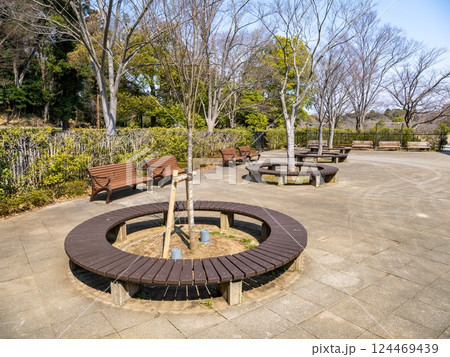 公園に置かれた円形のベンチと直線のベンチ（千葉県松戸市・21世紀の森と広場） 124469439