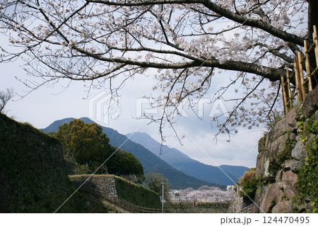 島原城のお堀 124470495
