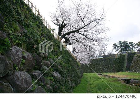 島原城のお堀 124470496