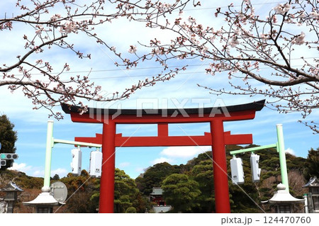 鶴岡八幡宮 三の鳥居(神奈川県鎌倉市雪ノ下2丁目) 鶴岡八幡宮 三の鳥居(神奈川県鎌倉市雪ノ下2丁目) 124470760