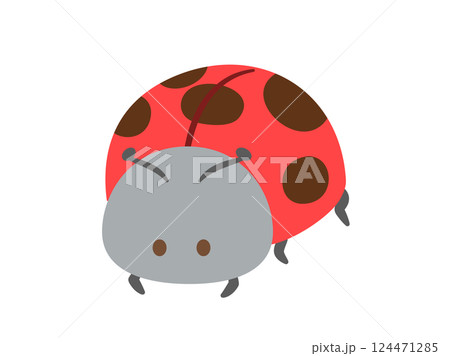 虫_テントウムシ_主線なし 虫_テントウムシ_主線なし 124471285