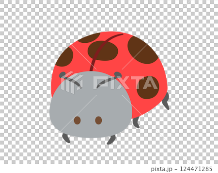 Insect_Ladybug_No main line 124471285