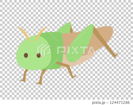 Insect_grasshopper_no 主線 Insect_grasshopper_no 主線 124471286