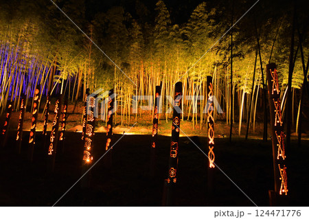 湧水町の丸池 124471776