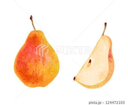 Yellow whole pear with a piece of fruit. Botanical illustration in watercolor. Hand drawn isolated drawing. Clip art of ripe fruits from tree for menu design, agriculture. Organic food sketch 124472103